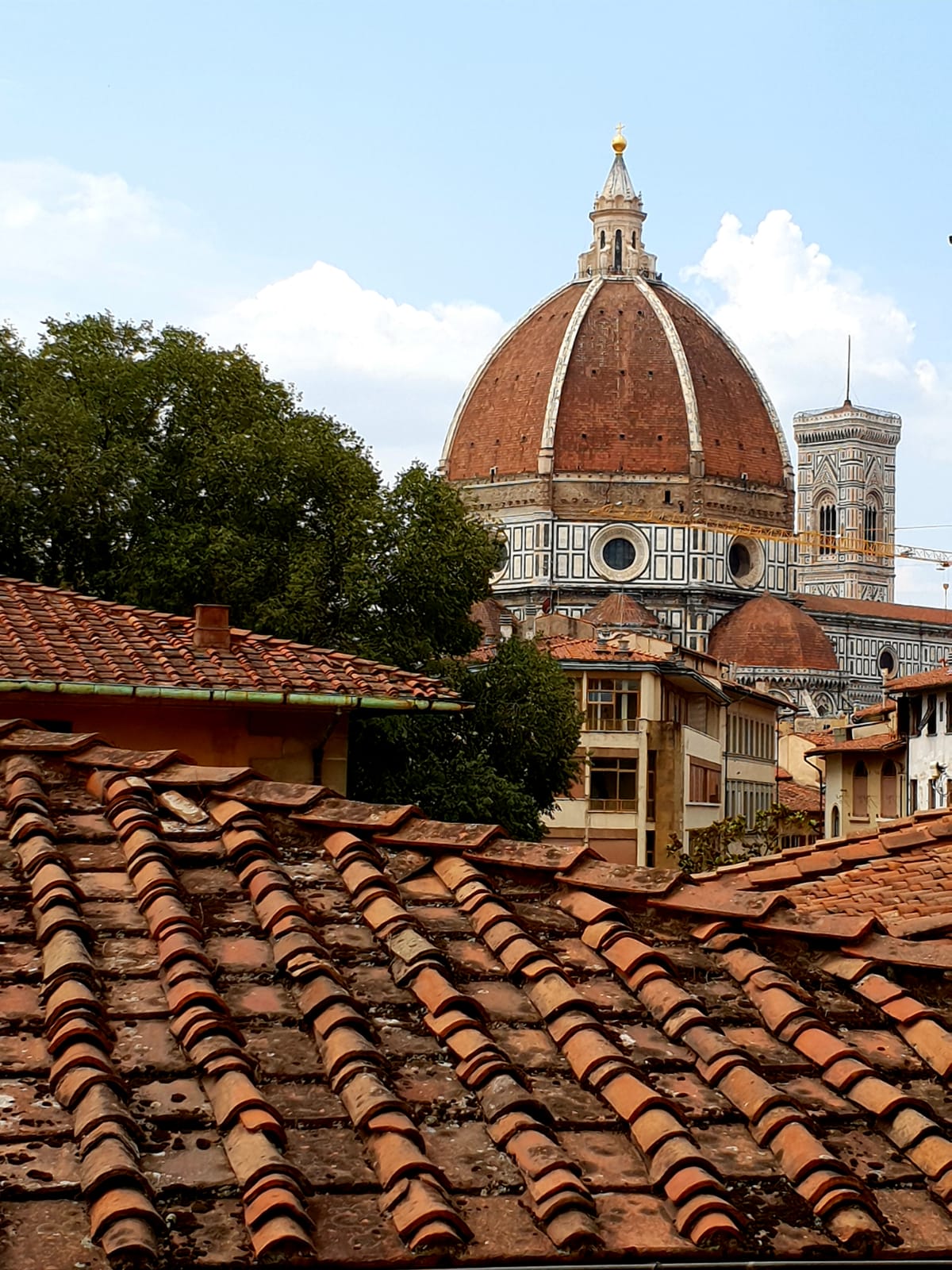 Views of the Duomo: Photo by M. Jamali