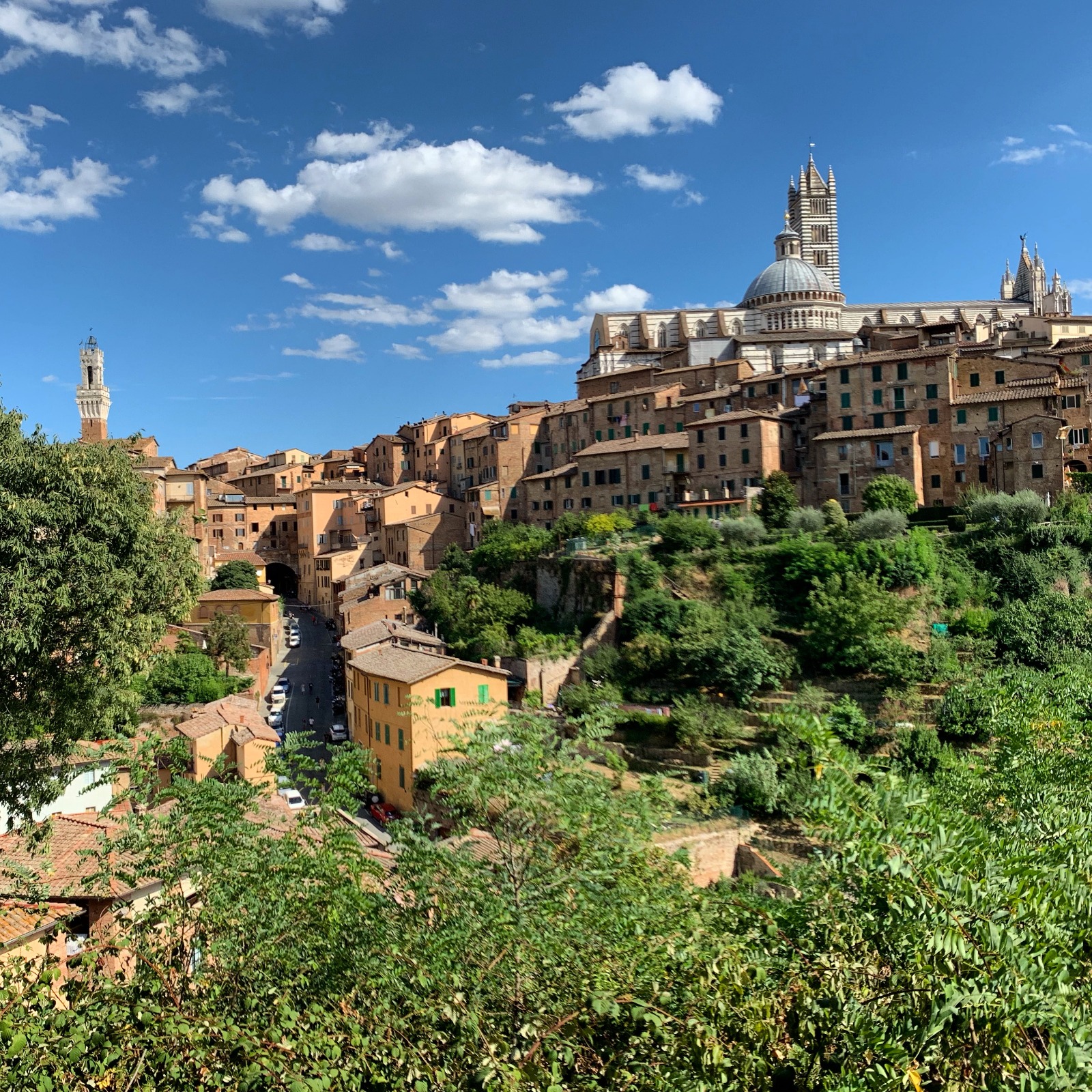 buildings in Siena: Photo by M. Jamali